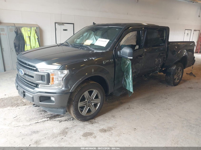 Vin: 1ftew1ep7kfd05768, lot: 46666278, ford f-150 xlt 20192