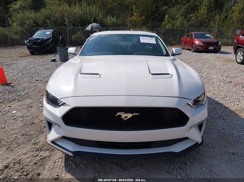 FORD MUSTANG - zdjęcie 12