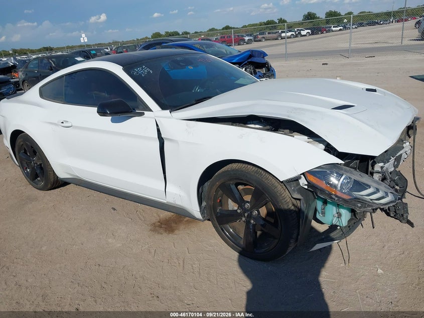 Vin: 1fa6p8th2p5105082, lot: 46669946, ford mustang ecoboost premium fastback 2023 img_1