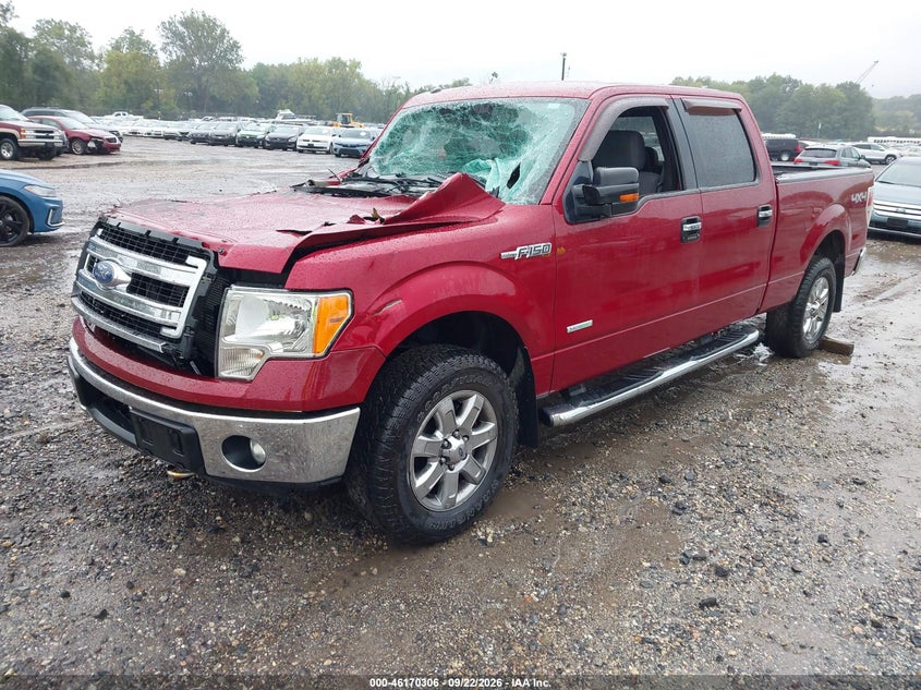 Vin: 1ftfw1et6dfd61320, lot: 46670148, ford f-150 xlt 20132