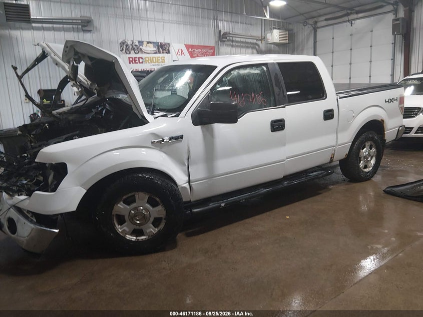 Vin: 1ftfw1ef0dfc20074, lot: 46671028, ford f-150 xlt 20132