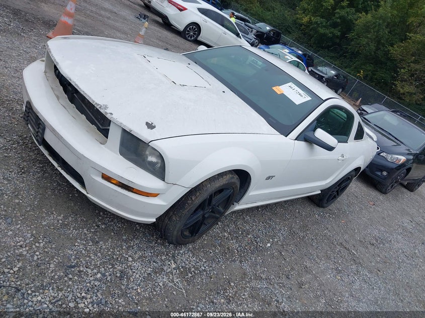 FORD MUSTANG 2006 VIN 1ZVFT82H165162618