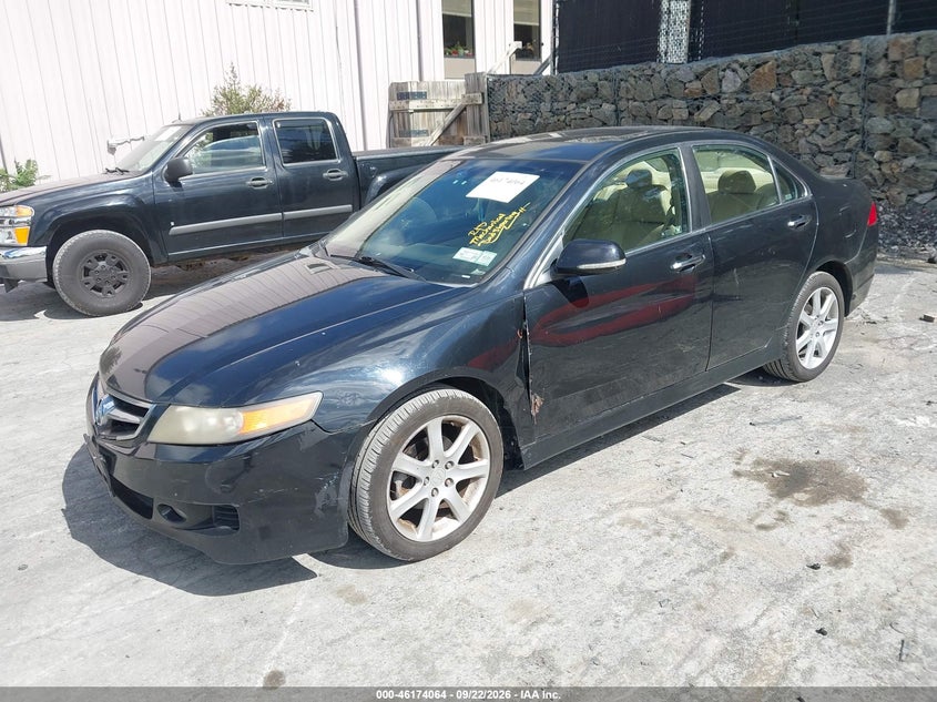 2006 Acura TSX, Звичайний знос, IAAI, VIN JH4CL96896C012708 — фото 2
