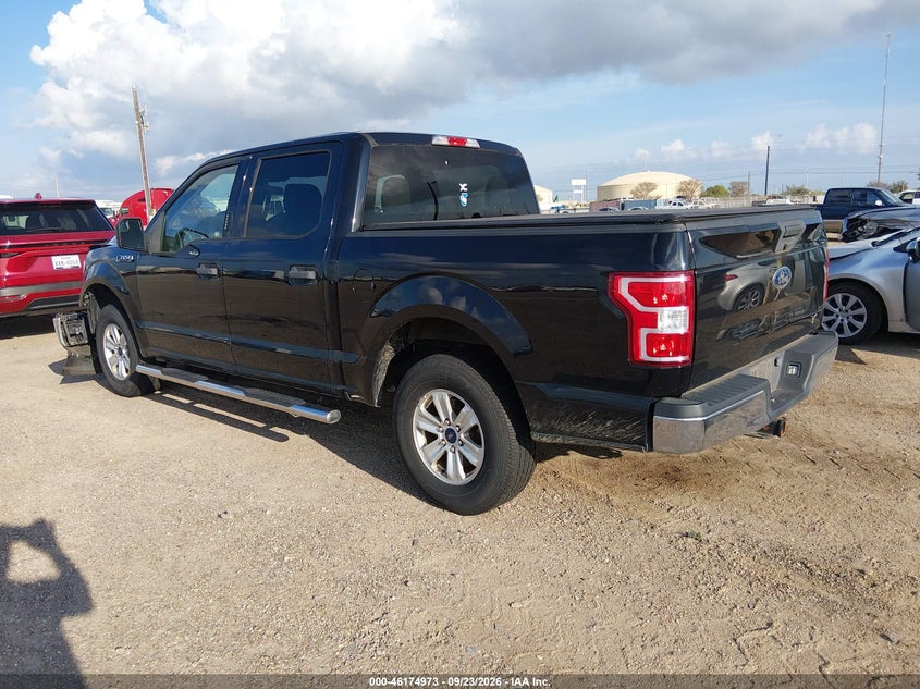 Vin: 1ftew1c57kkc41143, lot: 46674833, ford f-150 xlt 20193