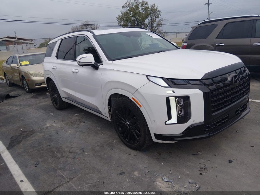 2024 HYUNDAI PALISADE CALLIGRAPHY NIGHT EDITION