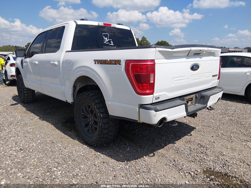 Vin: 1ftfw1e53pfd04983, lot: 46677594, ford f-150 tremor 20233