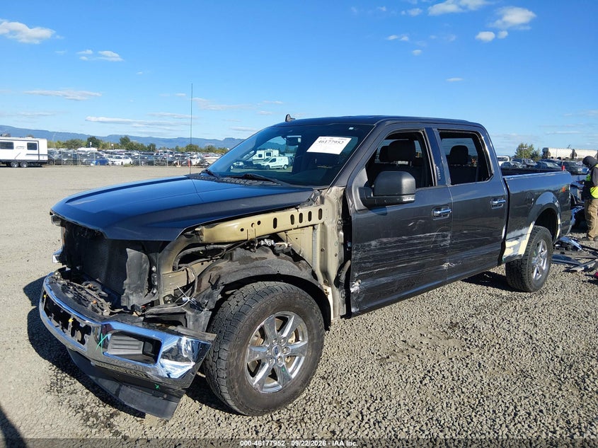 Vin: 1ftfw1e48kke08005, lot: 46677812, ford f-150 xlt 20192