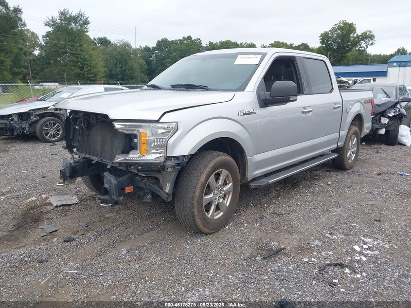 Vin: 1ftew1e51kfd08910, lot: 46678135, ford f-150 xlt 20192