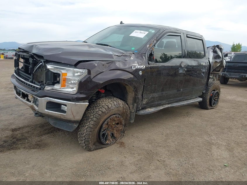 Vin: 1ftew1e55lfa95526, lot: 46678688, ford f-150 xlt 20202