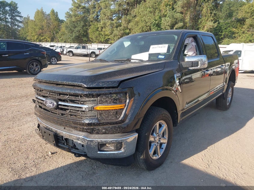Vin: 1ftfw3l59sfb56149, lot: 46679319, ford f-150 xlt 20252