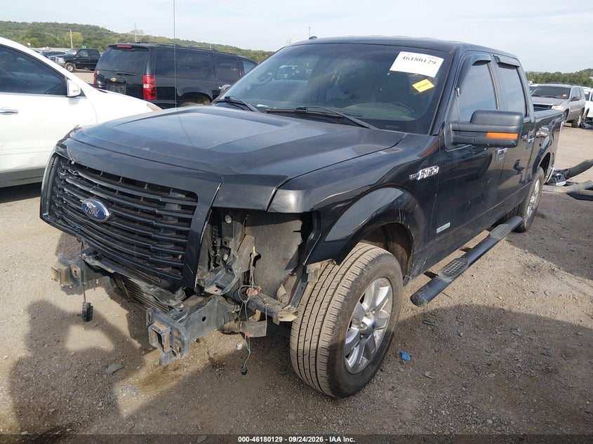Vin: 1ftfw1ct0dfd40675, lot: 46679989, ford f-150 xlt 20132
