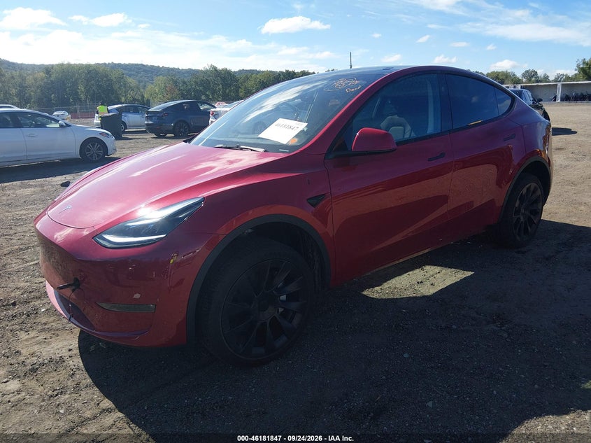 2023 TESLA MODEL Y · Фото 2