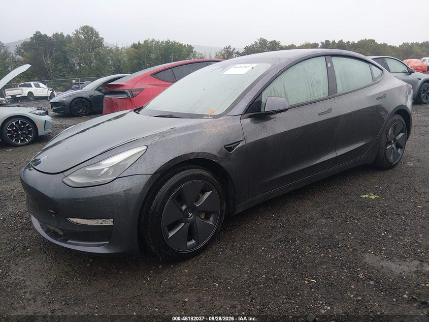 2023 TESLA MODEL 3 REAR-WHEEL DRIVE · Фото 2