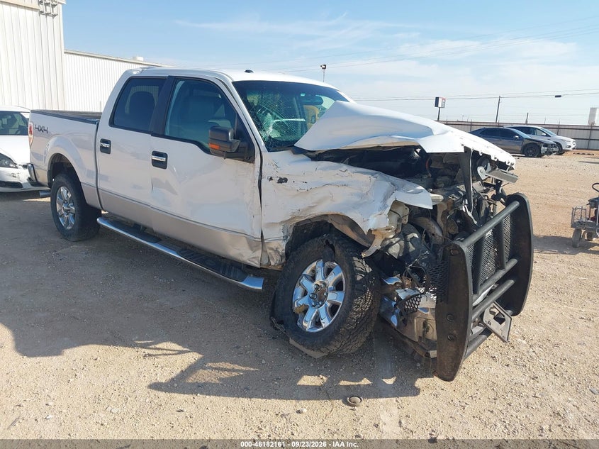 Vin: 1ftfw1ef9efa28783, lot: 46682021, ford f-150 xlt 2014 img_1
