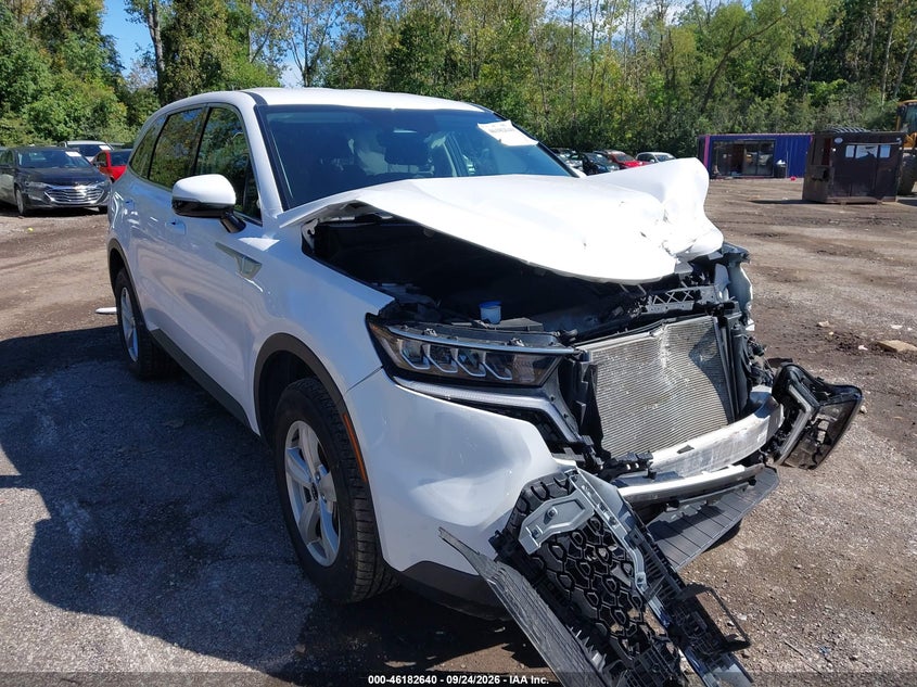 Vin: 5xyrgdlc6pg194456, lot: 46682500, kia sorento lx 2023 img_1
