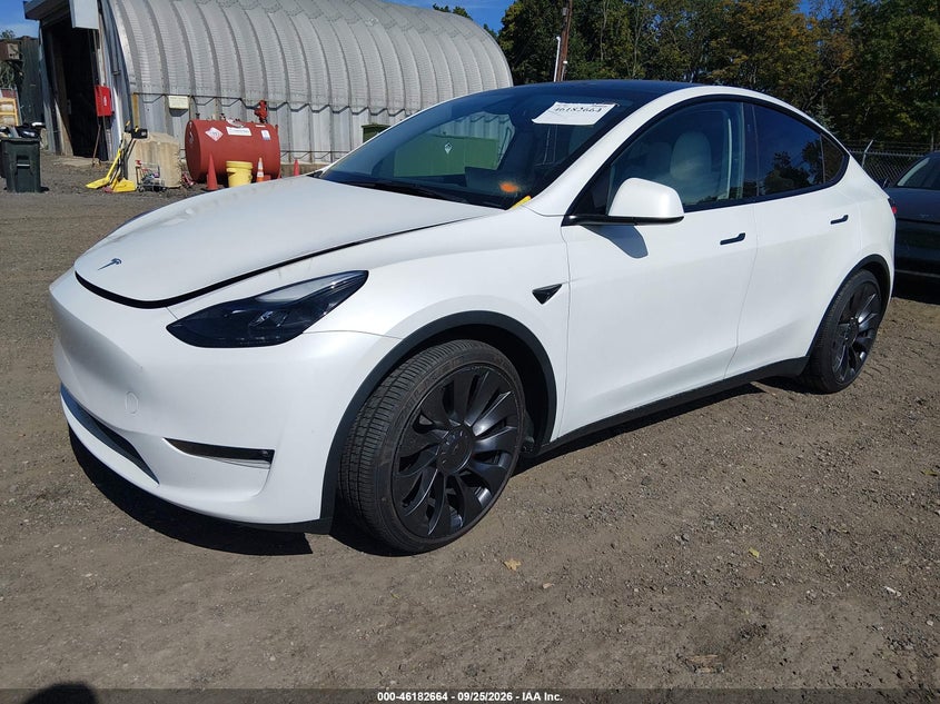 2023 Tesla Model Y, Затоплення, IAAI, VIN 7SAYGDEF8PF841100 — фото 2