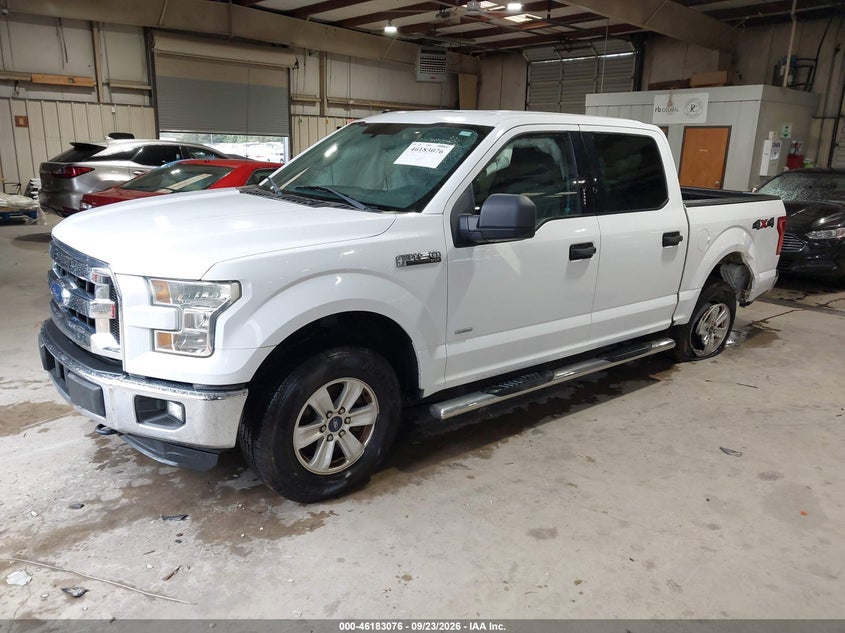 Vin: 1ftew1eg8gfa23257, lot: 46682936, ford f-150 xlt 20162