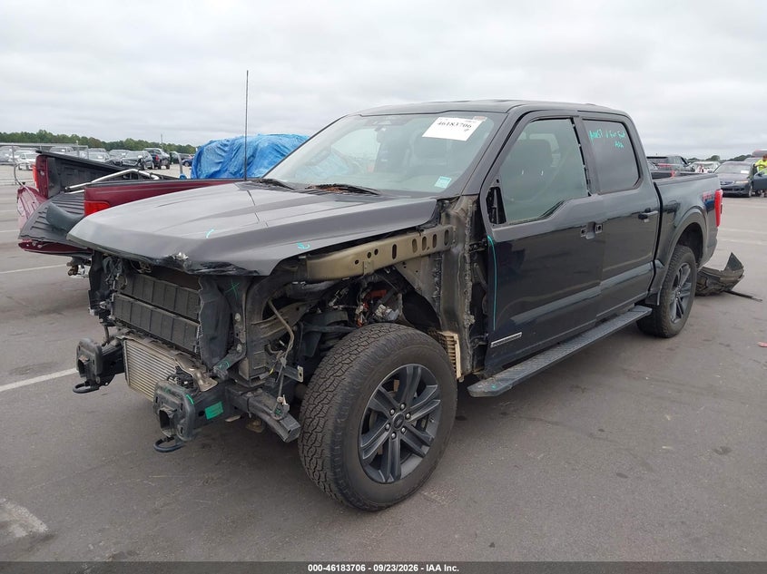 Vin: 1ftfw1ed8mfb23655, lot: 46683566, ford f-150 xlt 20212