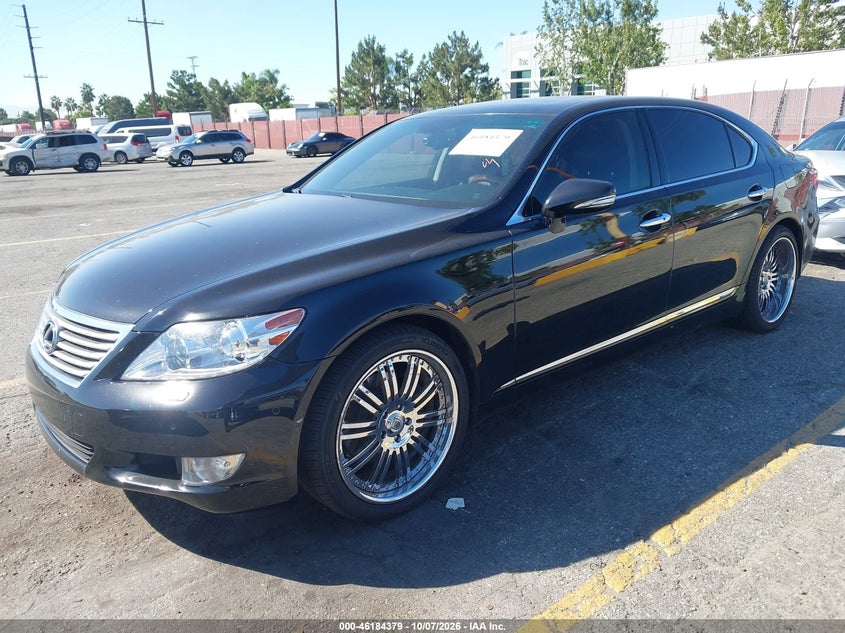 LEXUS LS 460 2010 VIN JTHGL5EF5A5041405