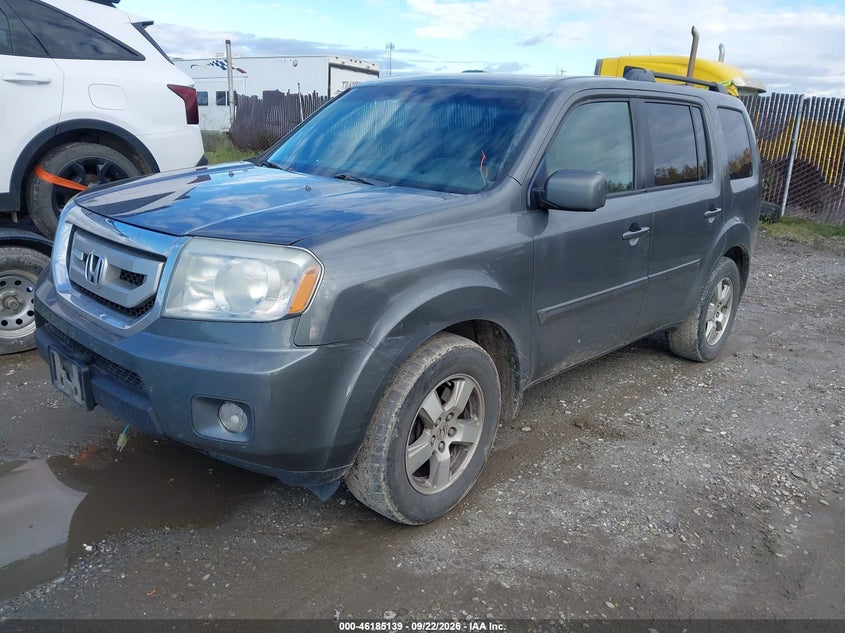 2009 Honda Pilot, Обидва боки, IAAI, VIN 5FNYF48629B011954 — фото 2