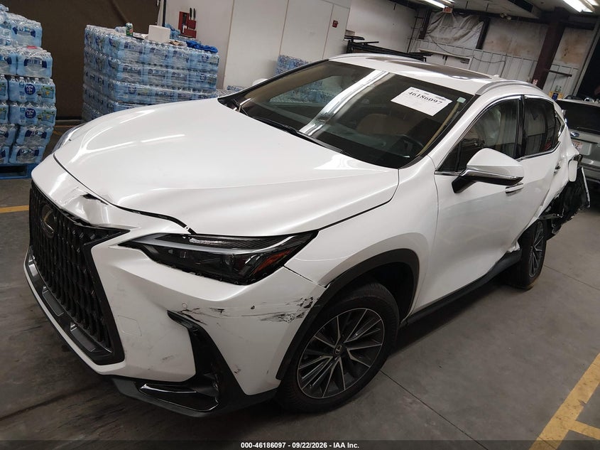 Vin: 2t2adcaz2sc028331, lot: 46685956, lexus nx 250 20252