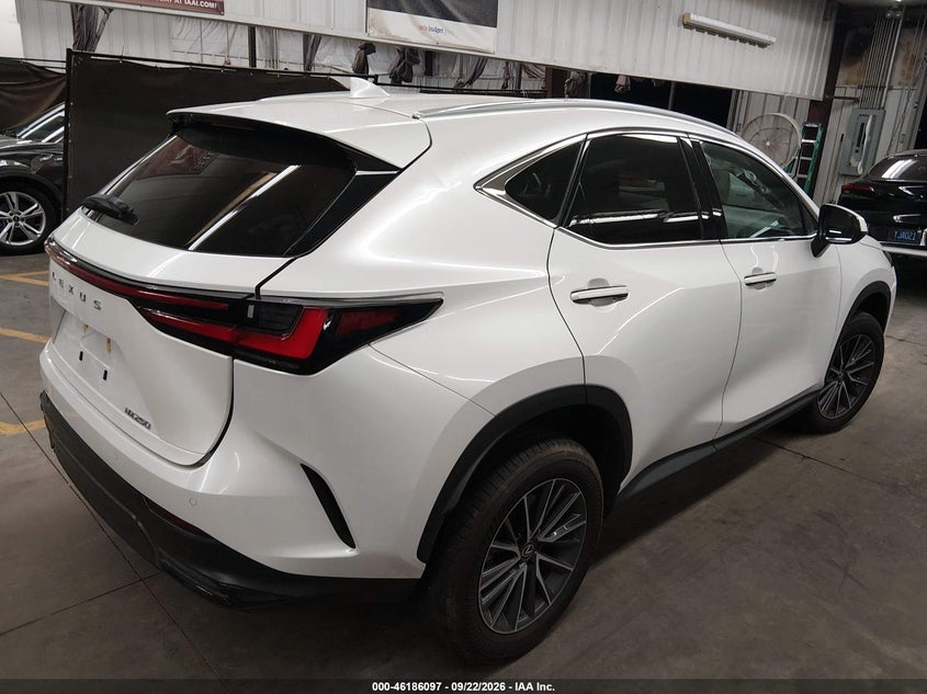Vin: 2t2adcaz2sc028331, lot: 46685956, lexus nx 250 20254