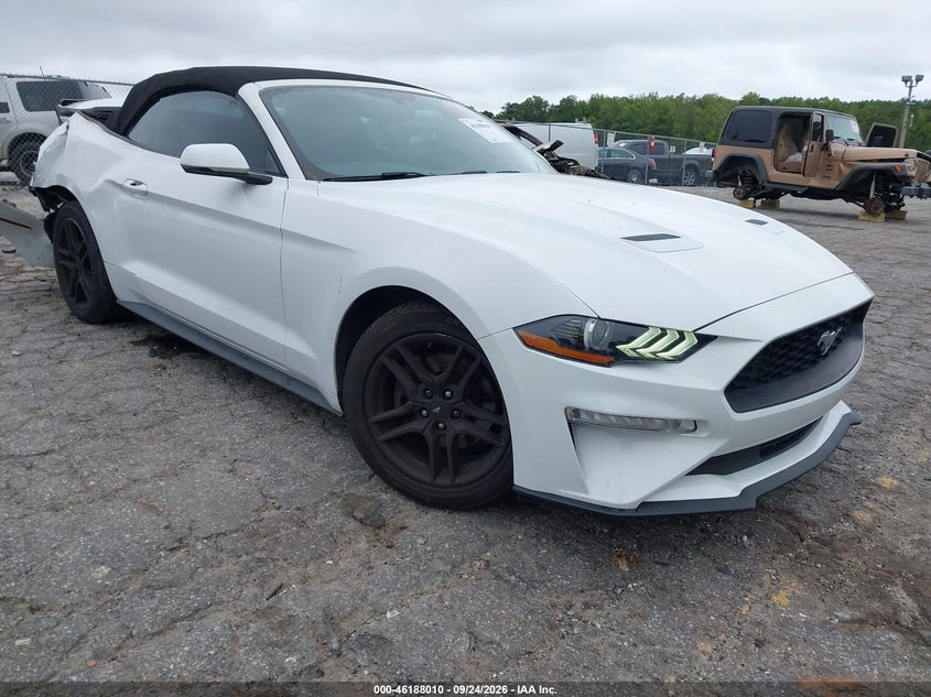 FORD MUSTANG - zdjęcie 1