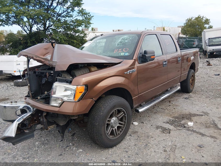 Vin: 1ftfw1ef4bfa10509, lot: 46688873, ford f-150 xlt 20112