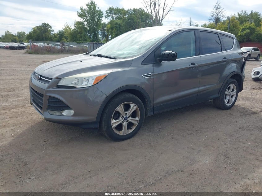 2014 Ford Escape, Удар сзади, IAAI, VIN 1FMCU0GX9EUB84306 — фото 2