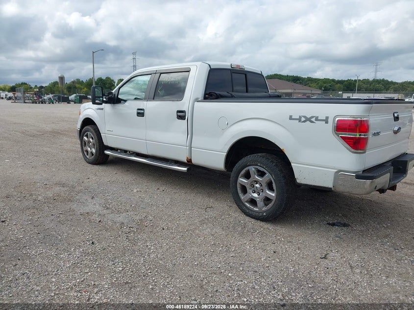 Vin: 1ftfw1et8efc07158, lot: 46689108, ford f-150 xlt 20143