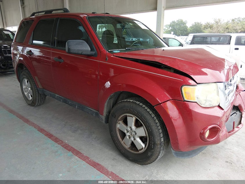 Vin: 1fmcu0d78akd09743, lot: 46689819, ford escape xlt 2010 img_1