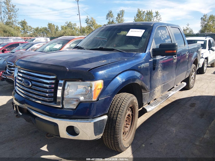 Vin: 1ftfw1ef3bfd23972, lot: 46689842, ford f-150 xlt 20112
