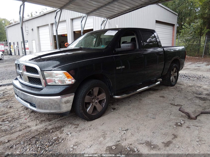 2009 Dodge RAM, Звичайний знос, IAAI, VIN 1D3HB13P99S741008 — фото 2