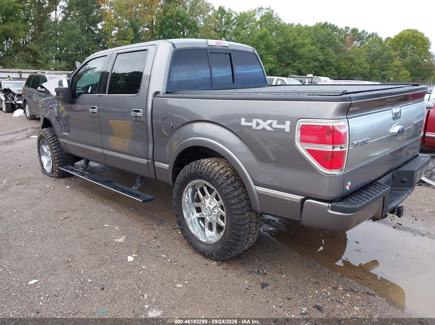 Vin: 1ftfw1et8dfb29463, lot: 46693183, ford f-150 platinum 20133