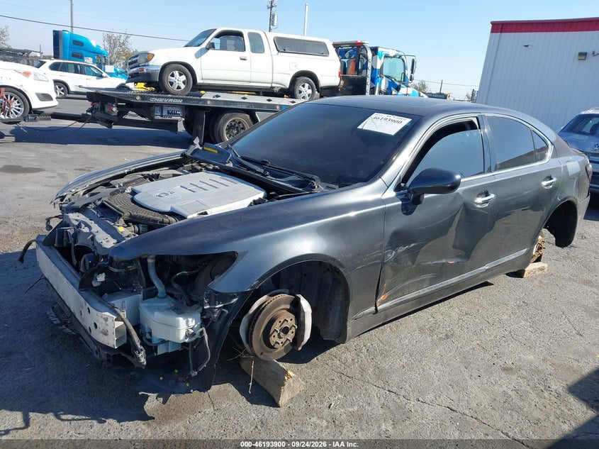 LEXUS LS 460 2009 VIN JTHBL46F495088343