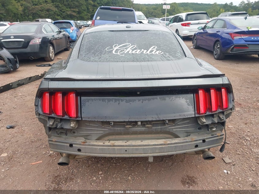 FORD MUSTANG - zdjęcie 6