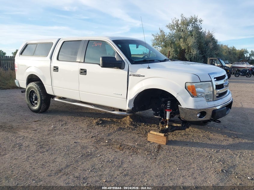 Vin: 1ftfw1et0dkd73549, lot: 46695528, ford f-150 xlt 2013 img_1