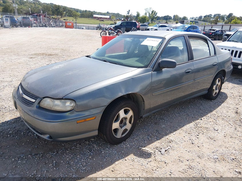 2003 Chevrolet Malibu, Звичайний знос, IAAI, VIN 1G1ND52J33M732657 — фото 2