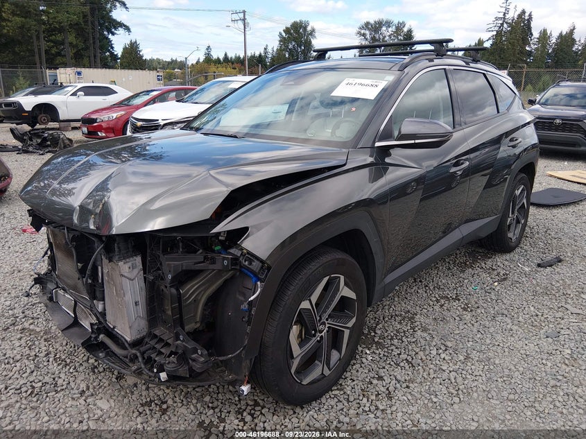 Vin: km8jeca19pu134552, lot: 46696572, hyundai tucson hybrid limited 20232