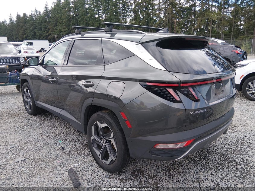 Vin: km8jeca19pu134552, lot: 46696572, hyundai tucson hybrid limited 20233