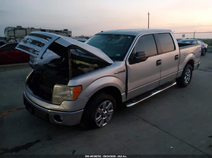Vin: 1ftfw1cf4ekg46202, lot: 46696667, ford f-150 xlt 20142