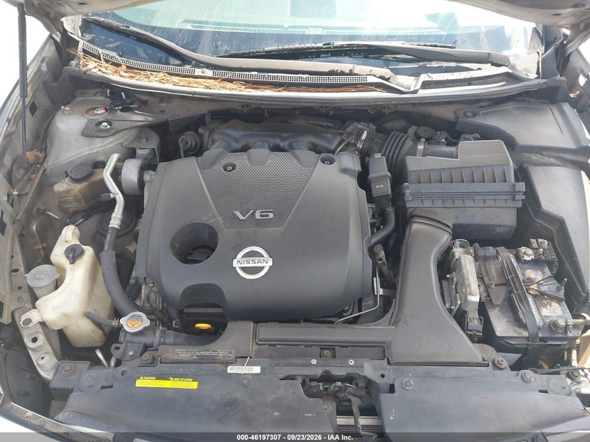 NISSAN MAXIMA 2009 VIN 1N4AA51E39C835410