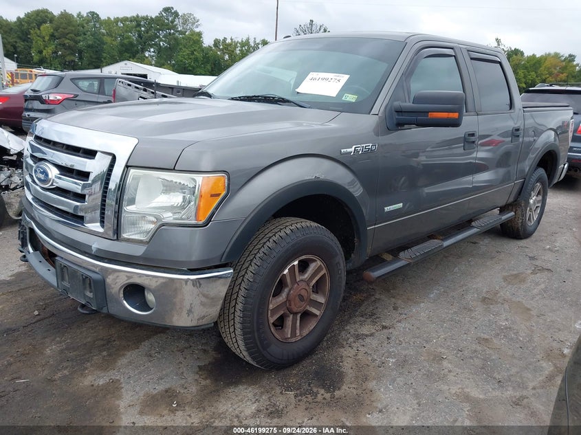 Vin: 1ftfw1et6bfb36604, lot: 46699187, ford f-150 xlt 20112