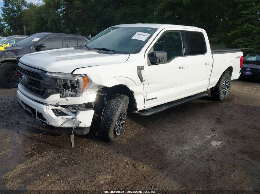 Vin: 1ftfw1ed4pfa70358, lot: 46699314, ford f-150 xlt 20232