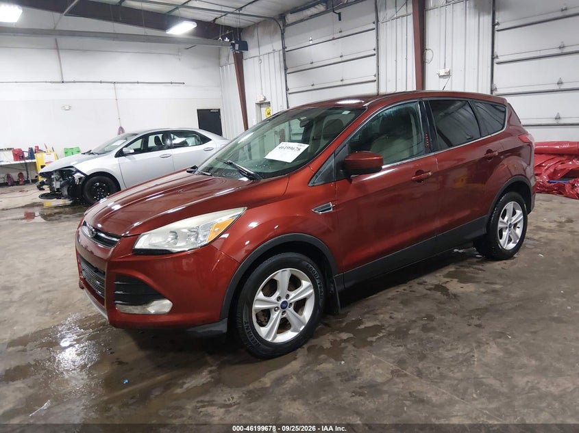 2014 Ford Escape, Правый бок, IAAI, VIN 1FMCU0GX7EUB76317 — фото 2