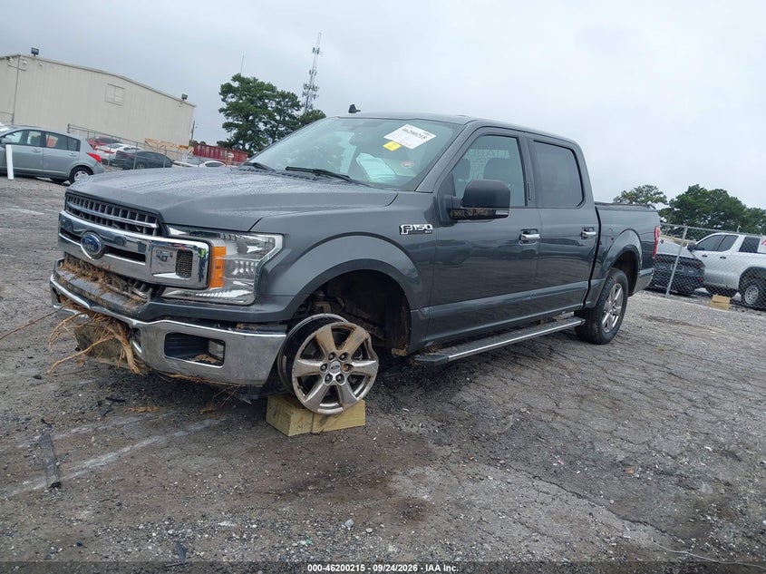 Vin: 1ftew1cp9kfb75513, lot: 46700127, ford f-150 xlt 20192