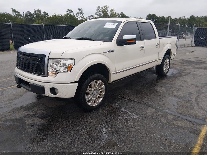2009 Ford F-150 Fx4/King Ranch/Lariat/Platinum/Xl/Xlt, Right Side, IAAI, VIN 1FTPW14V49FB18300 — photo 2