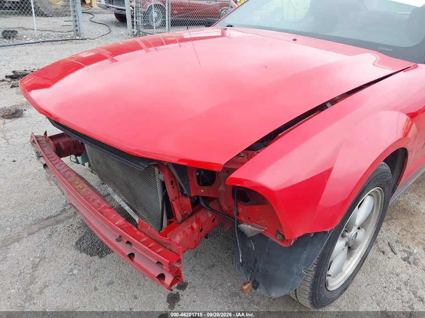 2007 FORD MUSTANG DELUXE/PREMIUM · Фото 19
