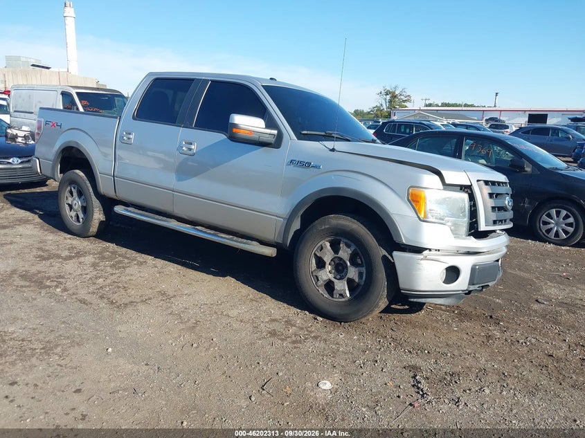 2010 Ford F-150 FX4/Harley-Davidson/King Ranch/Lariat/Platinum/XL/XLT