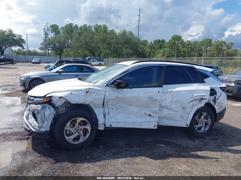 HYUNDAI TUCSON 2024 VIN 5NMJBCDEXRH428113